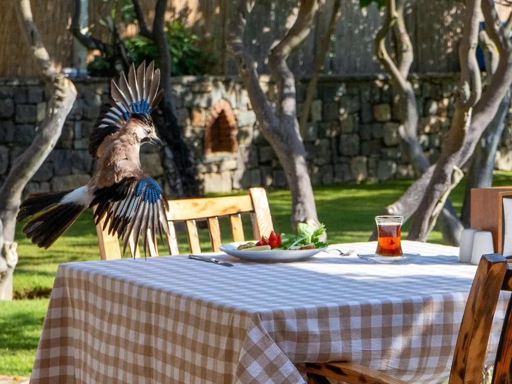 Hotel Gumusluk 3*,  Turkey